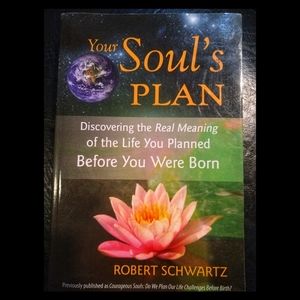Your Soul's Plan